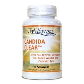 Wellspring Candida Support 90 capsules.